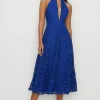 Best Oasis Lace Halter Neck Plunge Midi Dress Dark Green