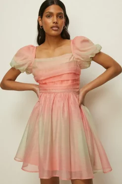 Online Oasis Ombre Ruched Detail Organza Skater Dress Apricot