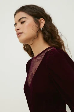 Outlet Oasis Petite Lace Mix Velvet Skater Dress Wine