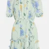 Best Oasis Petite Lace Trim Dobby Floral Chiffon Skater Dress Sage