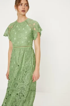 Outlet Oasis Petite Premium Floral Lace Cap Sleeve Midi Dress Apple Green