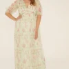 Online Oasis Plus Size Floral Button Detail Mesh Dress Sage