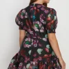 Clearance Oasis Plus Size Painted Floral Organza Dress Black