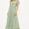 Discount Oasis Premium Delicate Lace Maxi Dress Sage