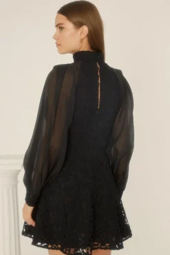 Clearance Oasis Premium Lace Cut Out Organza Sleeve Skater Dress Black