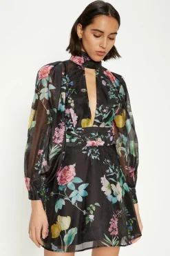 Sale Oasis Printed Organza Plunge Keyhole Skater Dress Floral