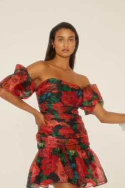 Online Oasis Rose Floral Ruched Mini Dress Black